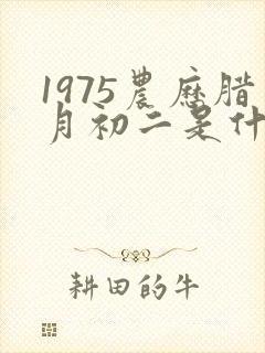 1975农历腊月初二是什么命