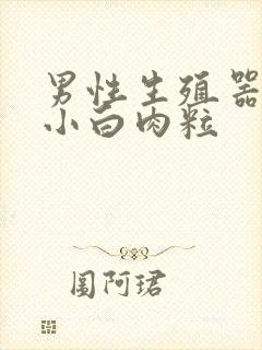 男性生殖器长起小白肉粒封面