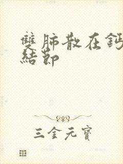 双肺散在钙化小结节