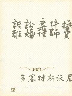 诉讼案件抚养权离婚律师费封面