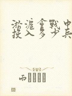 淞沪会战中央军投入多少兵力封面