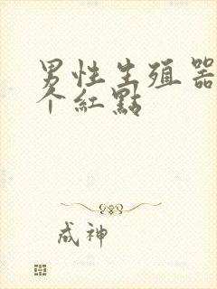 男性生殖器上有个红点封面