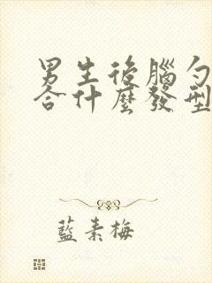 男生后脑勺高适合什么发型