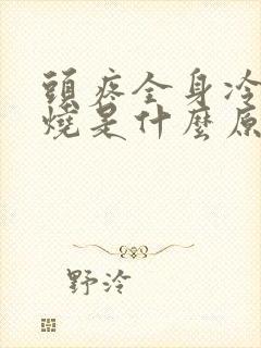 头疼全身冷不发烧是什么原因