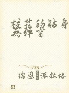 校花的贴身高手无弹窗封面