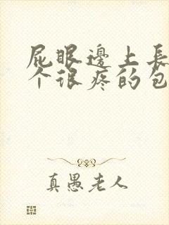 屁眼边上长了一个很疼的包封面