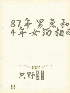 87年男兔和94年女狗相配婚姻如何