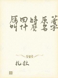 雁回时原著小说叫什么名字