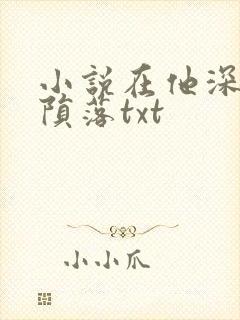 小说在他深情中陨落txt