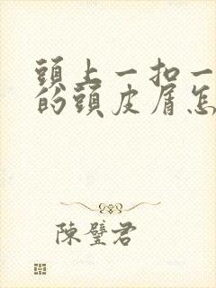 头上一扣一块块的头皮屑怎么办封面