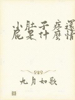 小肚子疼还老放屁是什么情况封面