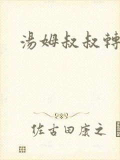 汤姆叔叔转接口