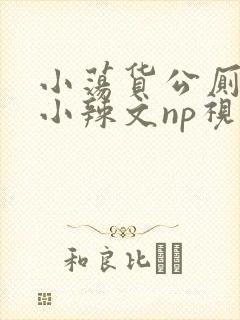 小荡货公厕h文小辣文np视频