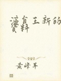 演员王新的个人资料