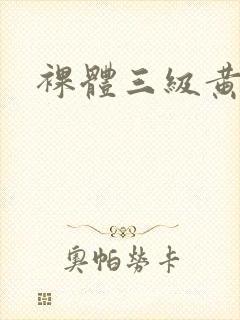 裸体三级黄色片