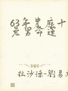 63年农历十月兔男命运