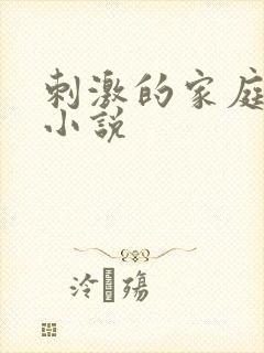 刺激的家庭乱仑小说封面