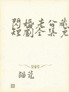 闪婚老公藏不住短剧全集免费观看封面