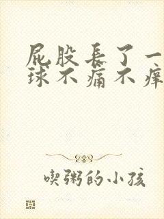 屁股长了一个肉球不痛不痒