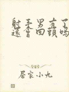 射手男有了新欢还会回头吗