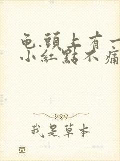 龟.头上有一个小红点不痛不痒