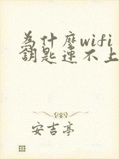 为什么wifi钥匙连不上网