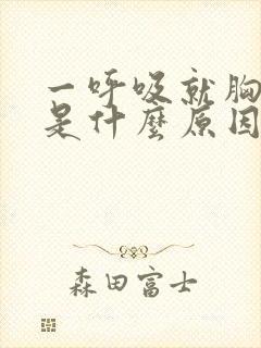 一呼吸就胸口闷是什么原因