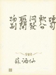 物联网软硬件定制开发公司