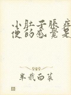 小肚子胀疼想大便的感觉是怎么回事