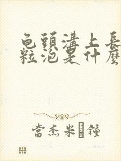 龟头沟上长小白粒泡是什么病封面