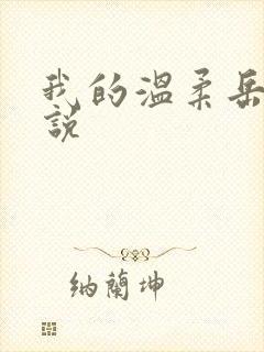 我的温柔岳母小说封面