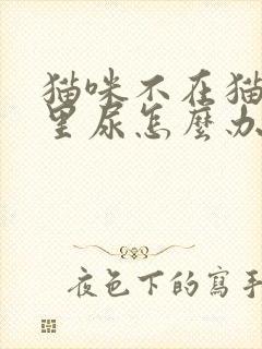 猫咪不在猫砂盆里尿怎么办