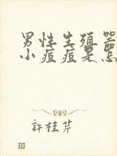 男性生殖器上长小痘痘是怎么回事