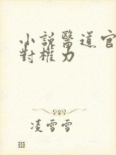 小说医道官途绝对权力