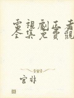 电视剧正者无敌全集免费观看