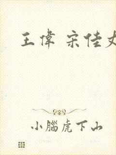 王伟 宋佳丈夫封面