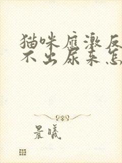 猫咪应激反应尿不出尿来怎么办