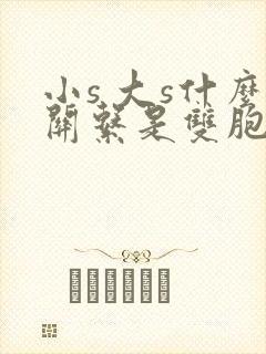 小s 大s什么关系是双胞胎吗