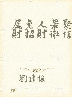 属兔人最聚财旺财招财微信名