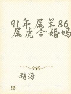 91年属羊86属虎合婚吗