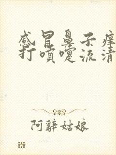 感冒鼻子痒老是打喷嚏流清鼻涕怎么治