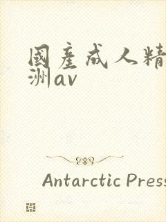 国产成人精品亚洲av