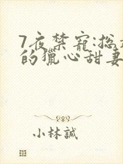 7夜禁宠:总裁的猎心甜妻挽歌