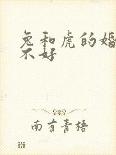 兔和虎的婚姻好不好封面