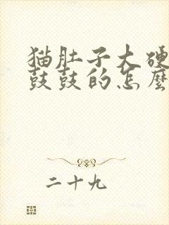 猫肚子大硬硬的鼓鼓的怎么回事