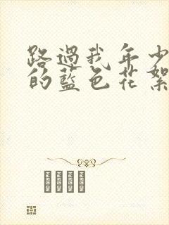 路过我年少时光的蓝色花絮封面