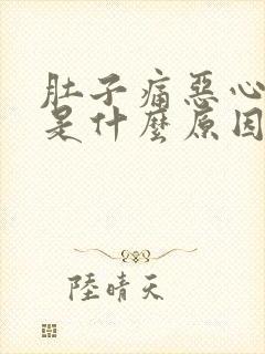 肚子痛恶心想吐是什么原因引起的