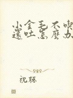 小金毛不吃东西还吐怎么办封面