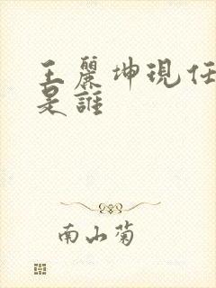 王丽坤现任丈夫是谁