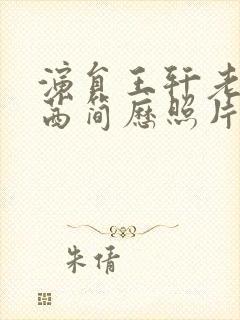 演员王轩老婆周茜简历照片